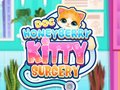 게임 Doc HoneyBerry Kitty Surgery