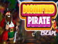 게임 Dignified Pirate Escape