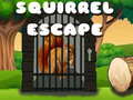 게임 Squirrel Escape