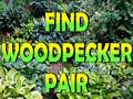 게임 Find Woodpecker Pair 