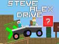 게임 Steve Alex Drive