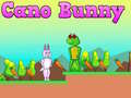 게임 Cano Bunny