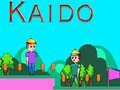 게임 Kaido