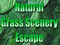 게임 Natural Grass Scenery Escape