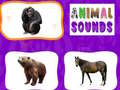 게임 Animal Sounds