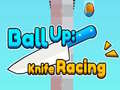 게임 Ball Up: Knife Racing 