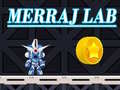 게임 Merraj Lab