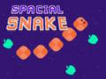 게임 Spacial Snake