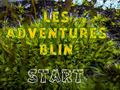 게임 Les Adventures Blin