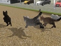 게임 Run Cat Cat Race