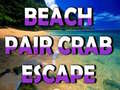 게임 Beach Crab Pair Escape 