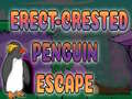 게임 Erect Crested Penguin Escape