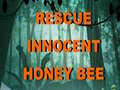 게임 Rescue Innocent Honey Bee 