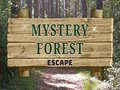 게임 Mystery Forest