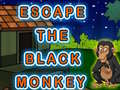 게임 Escape The Black Monkey