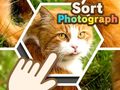 게임 Sort Photograph