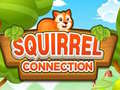 게임 Squirrel Connection