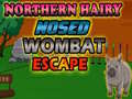 게임 Northern hairy nosed wombat Escape