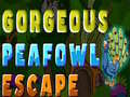 게임 Gorgeous Peafowl Escape