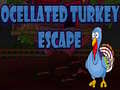 게임 Ocellated Turkey Escape