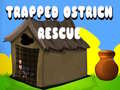 게임 Trapped Ostrich Rescue