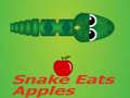 게임 Snake Eats Apple