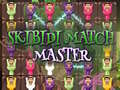 게임 Skibidi Match Master