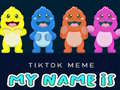 게임 TikTok Meme My Name Is