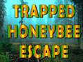 게임 Trapped Honeybee Escape