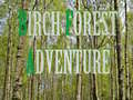 게임 Birch Forest Adventure