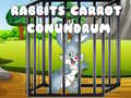 게임 Rabbits Carrot Conundrum