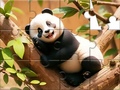 게임 Jigsaw Puzzle: Panda On Tree