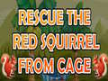 게임 Rescue The Red Squirrel From Cage