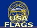 게임 Usa Flags 