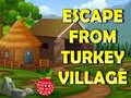 게임 Escape From Turkey Village