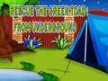 게임 Rescue The Green Toad From Underground