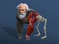 게임 Idle Evolution From Cell To Human