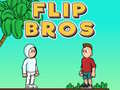 게임 Flip Bros