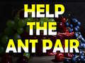 게임 Help The Ant Pair