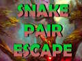 게임 Snake Pair Escape