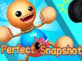 게임 Perfect Snapshot