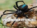 게임 Spider Hidden Difference