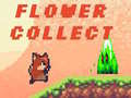 게임 Flower Collect