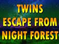 게임 Twins Escape From Night Forest
