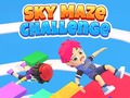 게임 Sky Maze Challenge