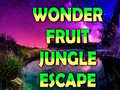 게임 Wonder Fruit Jungle Escape