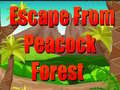 게임 Escape From Peacock Forest