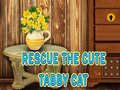 게임 Rescue The Cute Tabby Cat
