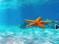 게임 Escape From Underwater Starfish