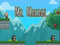 게임 Mr Macagi
